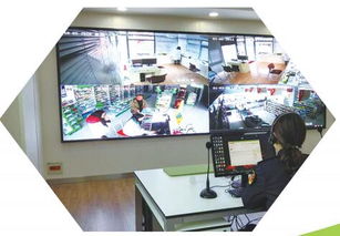 打造食品安全城市典范 東臺(tái)市政府門(mén)戶網(wǎng)站專(zhuān)題建設(shè)方案