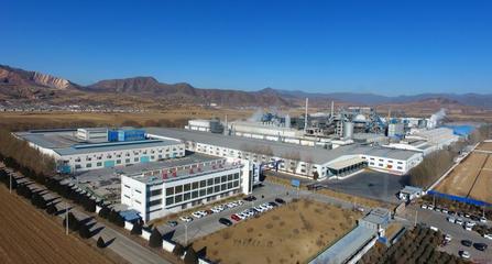 忻州市推動(dòng)七大能級(jí)躍升系列之產(chǎn)業(yè)篇 生物化工的“綠”與“智”